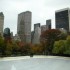 Jeudi 6/11, Central Park