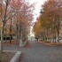 Dimanche 9/11, repos et ballad
