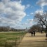 Week end in Washington DC