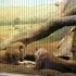 Lincoln Park Zoo