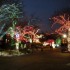 Lincoln Park Zoo