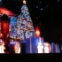 Christmas Spectacular, LE SHOW