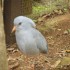 parc zoologique et forestier d