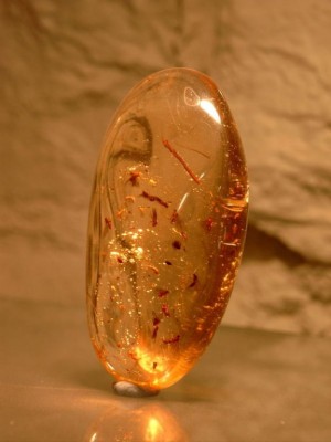 Arctique : découverte d'un gisement d'ambre dans la glace