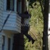 [Vidéo] Breaking Dawn - Tournage : Répét