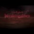 Mise à jour du site officiel de Breaking