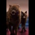 Breaking Dawn : Dans 1 mois au cinéma !