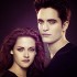 Evolutions de Bella et du couple Edward/