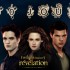 100 jours avant Breaking Dawn part 2 !