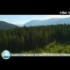 Vampires et loups-garous : Deux document