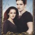 Cartes de Breaking Dawn part 2 pour Hall