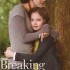 Scans : Nouvelles photos de Breaking Daw