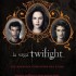 Pas de guide officiel de Breaking Dawn p