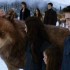 Le clip de "The Forgotten" dévoilé demai