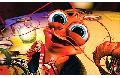 Y a plusieurs crevettes dans le monde