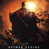 "Batman begins" de Christopher Nolan