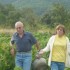 Les vendanges de la vigne du s