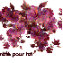 Créa 
