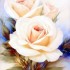 Bon week-end les amis,