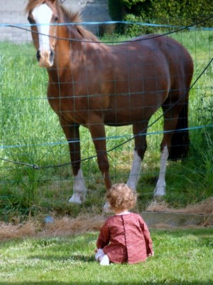 ma tracy et nos ti voisin les chevaux