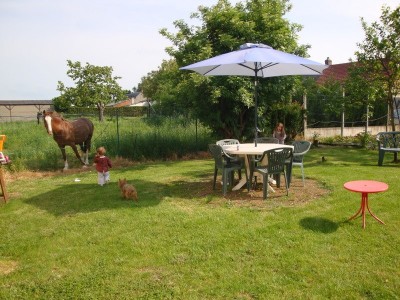 mon jardin et mes voisin mangeur de rosier lol