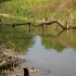 barrage effacé