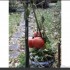 tomates automnales