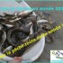 Garde la pêche en 2014 !