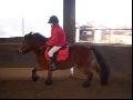 Doudou, départ au galop