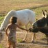 chemins d'enfance