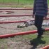 le dimanche 3 mai  course de 1