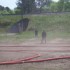 le dimanche 3 mai  course de 1