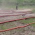 le dimanche 3 mai  course de 1