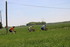 ORMES Dimanche 26 Avril 2026.