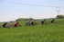 ORMES Dimanche 26 Avril 2026.