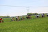 ORMES Dimanche 26 Avril 2026.