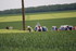 TILLIERES SUR AVRE Vendredi 1e