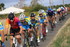 LE PLESSIS GROHAN Dimanche 20 