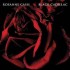 Rosanne Cash -  Burn Down This
