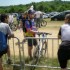 Les Crapauds 2009