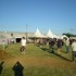 Les Crapauds 2009