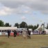 Les Crapauds 2009