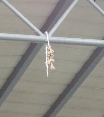 Ils ont des moeurs bizarres à Munich... ils suspendent des couilles au plafond de la gare