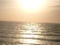 + La Mer +