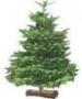 blague de noel