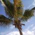 7ème blog de l'été: paradis