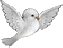 Anniversaire du blog de la sem