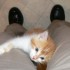 69e blog du moment....... JEAN