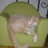 71e blog du Moment !..... MADI