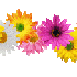 Fête des mamans